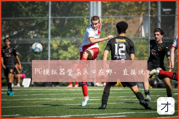 PG模拟器登录入口在哪，直接说